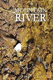 Mountain River Nature Recorded