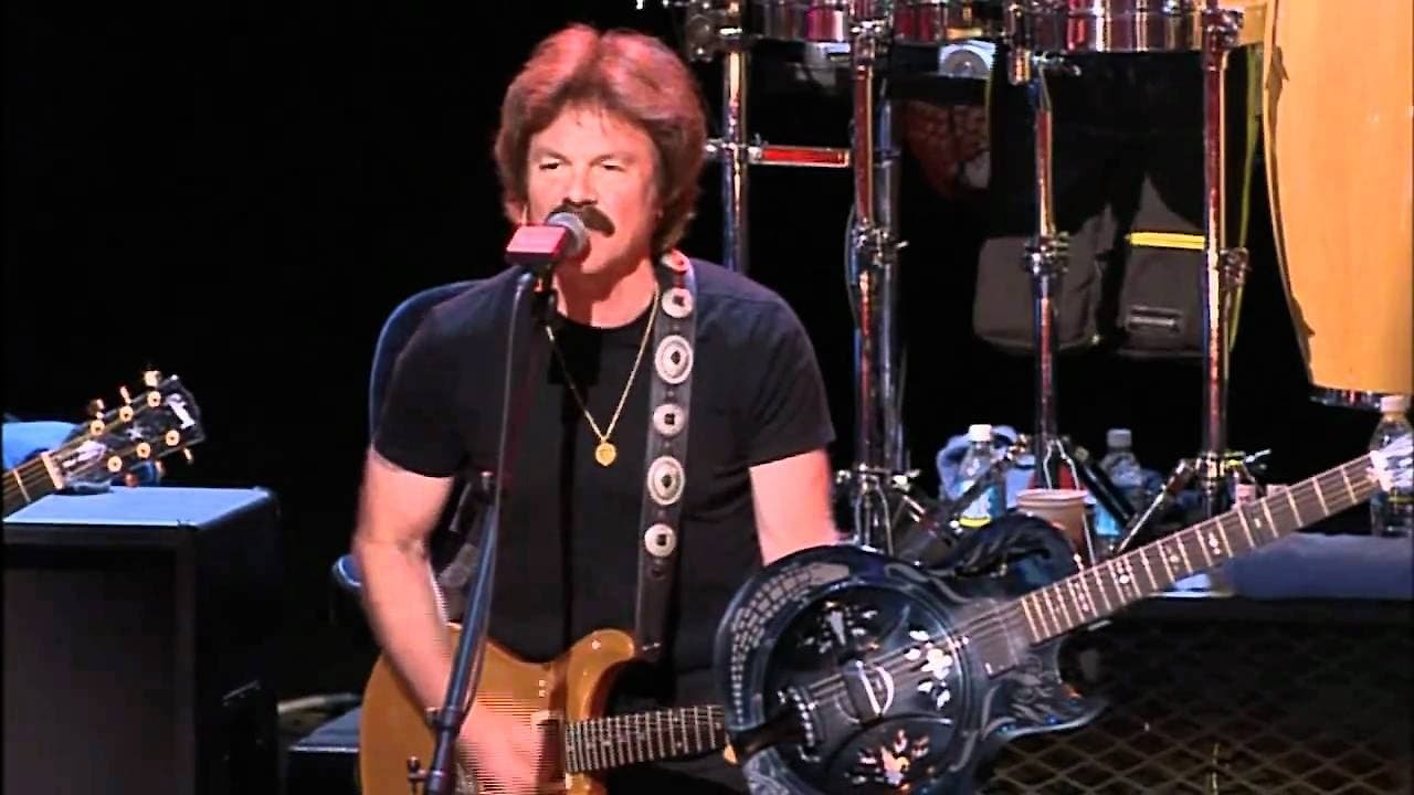 The Doobie Brothers: Rockin' Down the Highway: The Wildlife Concert