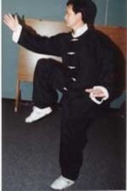 Tai Chi 48 Position Set Volume 1 with applications