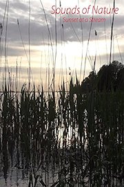 Stream - Sounds of Nature