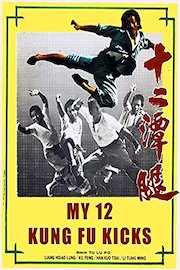 My 12 Kung Fu Kicks