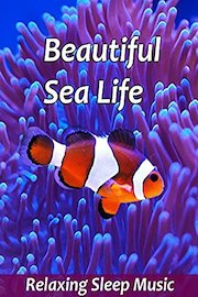 Beautiful Fish and Sea Life for Relaxation & Meditation - Relaxing Sleep Music