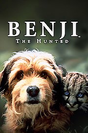 Benji the Hunted