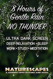 8 Hours of Gentle Rain No Thunder Ultra Dark Screen, Deep Relaxation Sleep Work Study Meditation