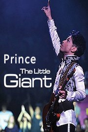 Prince - The Little Giant