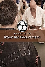 Brazilian Jiu Jitsu Brown Belt Requirements