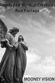 Angels And Mystical Creatures Real Footage