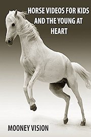 Horse Videos For Kids And The Young At Heart