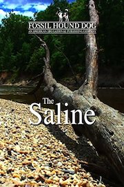 The Saline