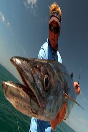 Addictive Fishing - The Bimini Boys