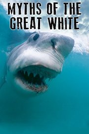 Myths Of The Great White
