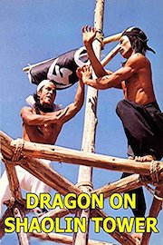 Dragon on Shaolin Tower