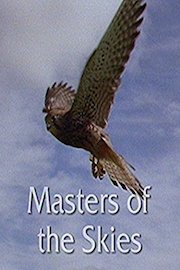 Masters of the Skies