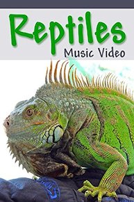 Reptiles