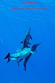 Dolphins Angels and Healers of the Seas
