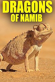Dragons of the Namib