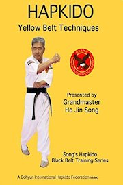 Song's Hapkido Yellow Belt Techniques