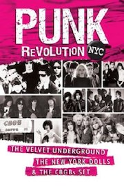 Punk Revolution NYC: The Velvet Underground, The New York Dolls And The CBGBs Set