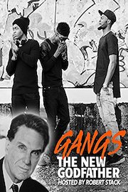Gangs: The New Godfathers, Hosted by Robert Stack