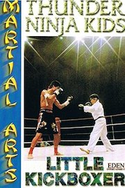 Thunder Ninja Kids : Little Kickboxer