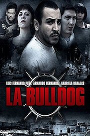 La Bulldog