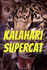 Kalahari Supercat