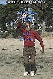 Wild Goose Qigong V - Soft Palms Qigong