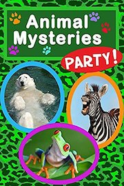 Animal Mysteries Party