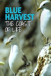 Blue Harvest: The Coast of Life