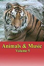 Animals & Music Volume 5