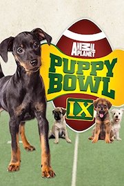Puppy Bowl IX