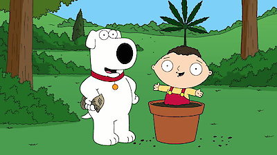 Family guy season on sale 7 watch online