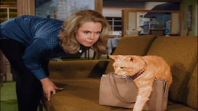 Bewitched Season 2 Episode 35