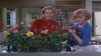 Bewitched Season 3 Episode 8