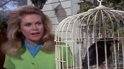 Bewitched Season 5 Episode 23