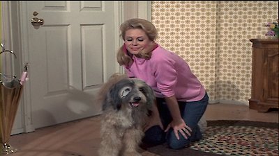Bewitched Season 7 Episode 9