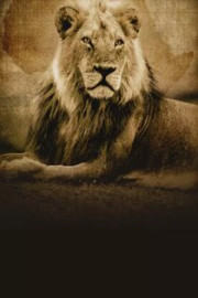 Into the Pride Lands