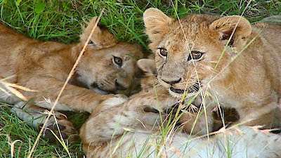 Boon Season 5 Episode 12