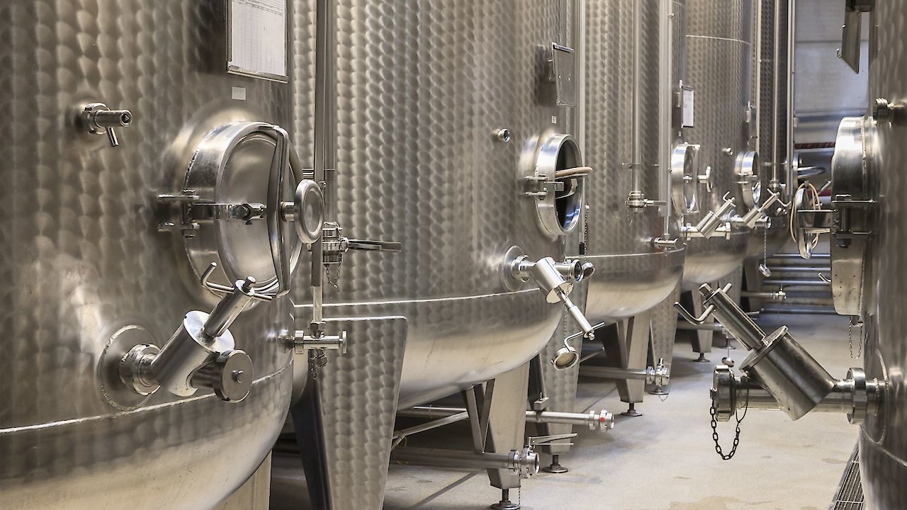 The Hidden Power of Microbes