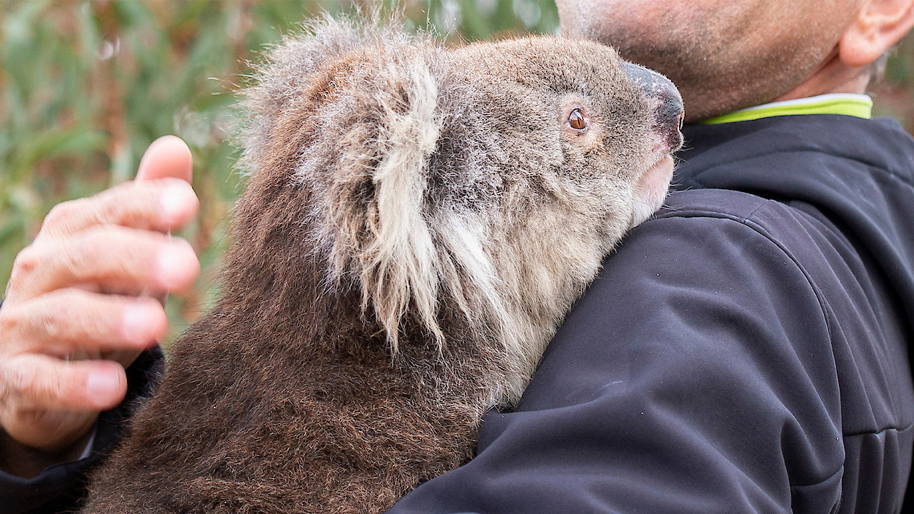 Critical Kingdoms: Stories of Hope