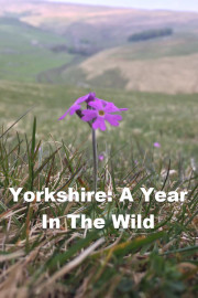 Yorkshire - A Year in the Wild