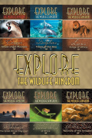Explore The Wildlife Kingdom