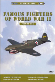 Famous Fighters of WWII