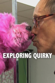 Exploring Quirky