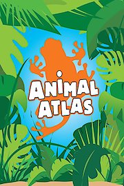 Animal Atlas
