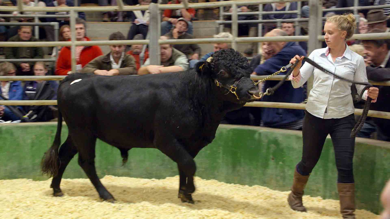 Farmer's Country Showdown