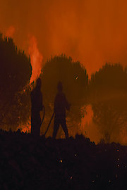 Firefighters in the Heart of Danger