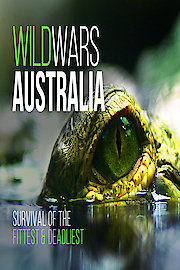 Wild Wars Australia