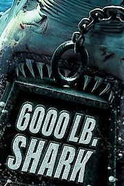 6000-LB Shark
