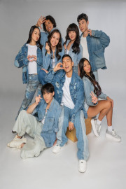 The Gangnam Project